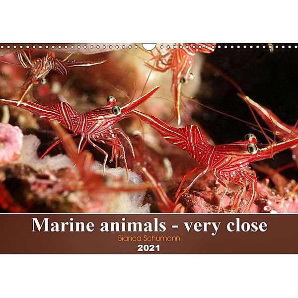 Marine animals - very close (Wall Calendar 2021 DIN A3 Landscape), Bianca Schumann