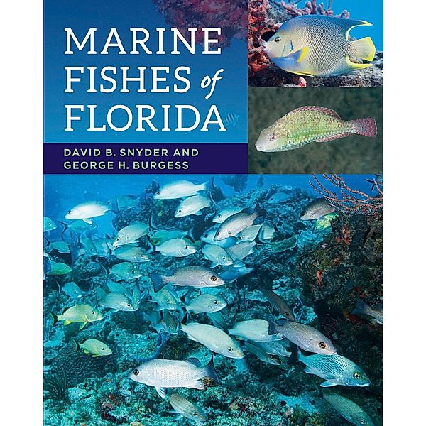 Marine Fishes of Florida, David B. Snyder