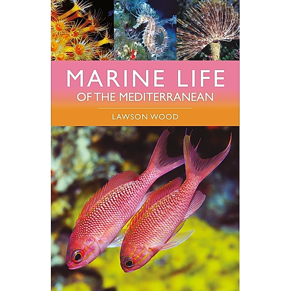 Marine Life of the Mediterranean, Lawson Wood