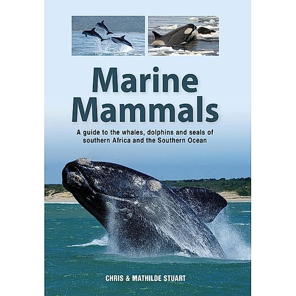 Marine Mammals, Chris Stuart