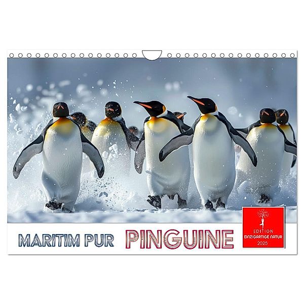 Maritim pur - Pinguine (Wandkalender 2025 DIN A4 quer), CALVENDO Monatskalender, Calvendo, Peter Roder
