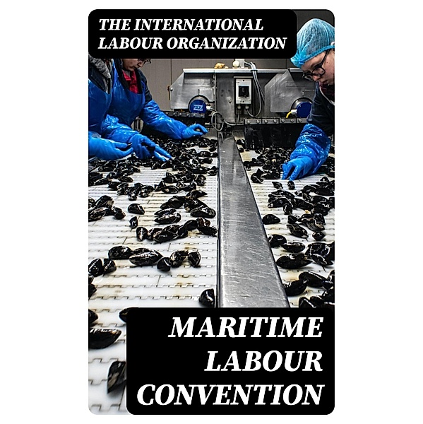 Maritime Labour Convention, The International Labour Organization