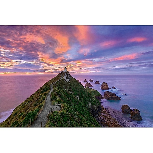 SCHMIDT SPIELE Mark Gray - Nugget Point Lighthouse, The Catlins, South Island - New Zealand (Puzzle), Mark Gray