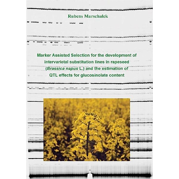 Marker Assisted Selection for the development of intervarietal substitution lines in rapeseed (Brassica napus L.) and the estimation of QTL effects for the glucosinolate content