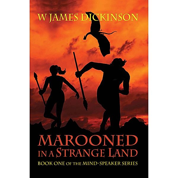 Marooned in a Strange Land, W James Dickinson