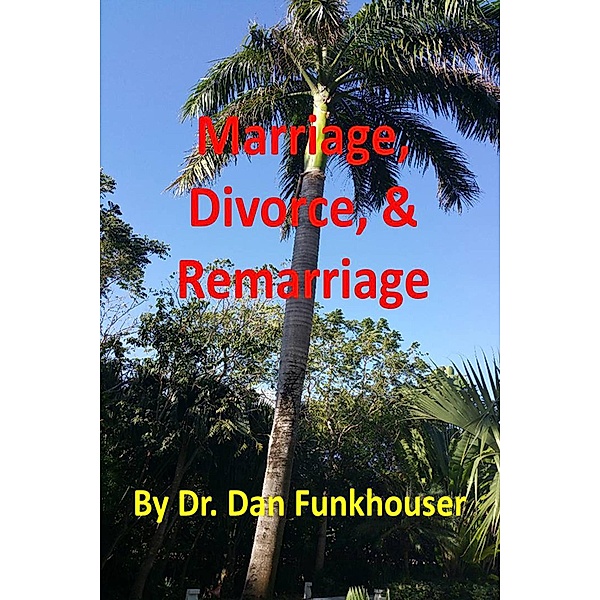 Marriage, Divorce, & Remarriage, Dan Funkhouser