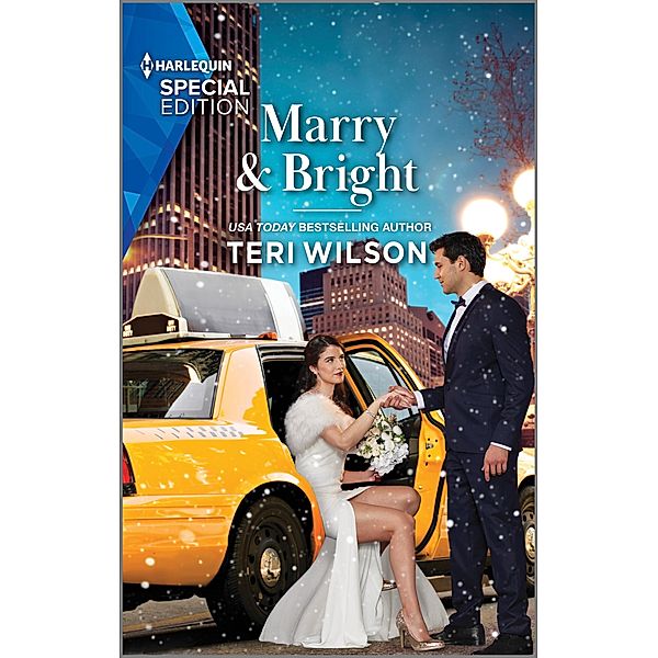 Marry & Bright / Love, Unveiled Bd.3, Teri Wilson