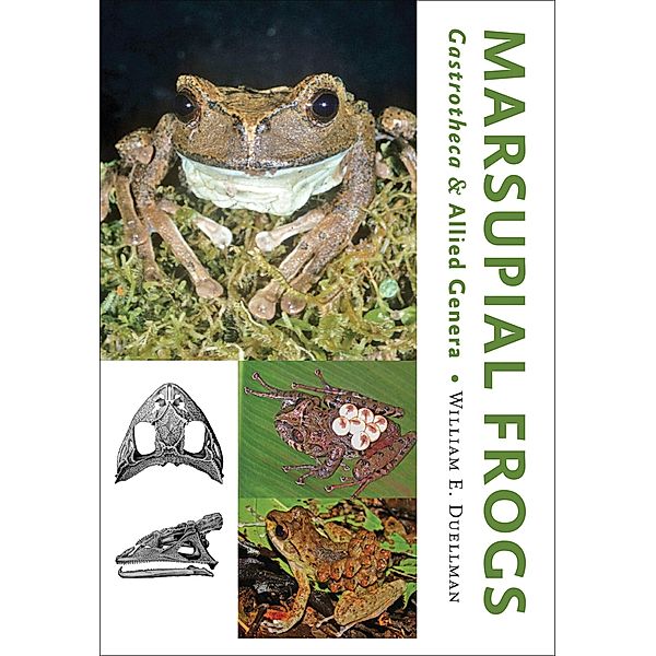 Marsupial Frogs, William E. Duellman