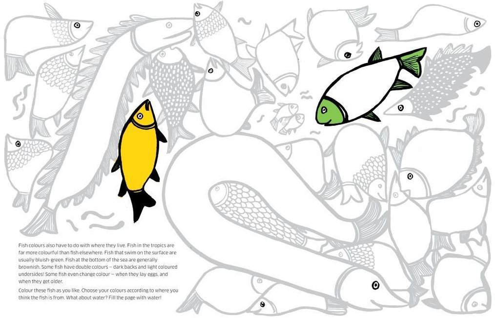 Martelo, L: 8 Arten einen Fisch zu malen Buch - Weltbild.ch
