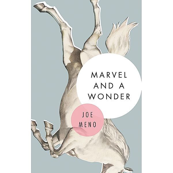 Marvel and a Wonder, Joe Meno