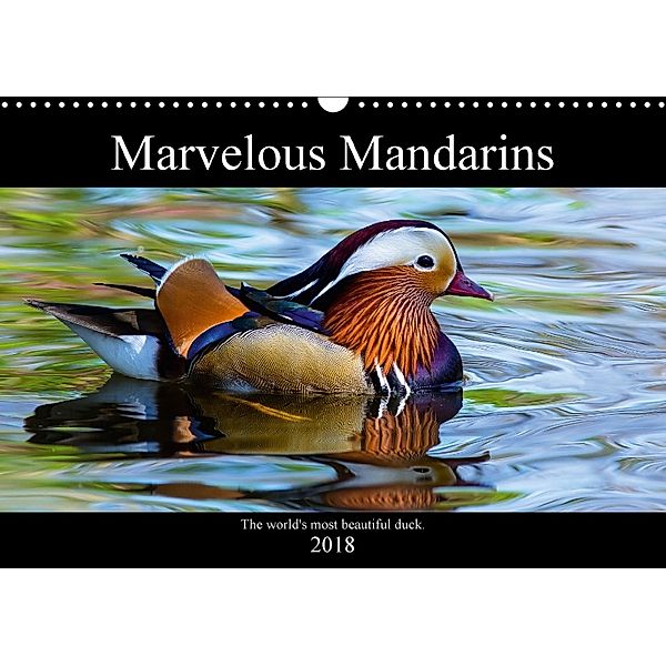 Marvellous Mandarins (Wall Calendar 2018 DIN A3 Landscape), N N