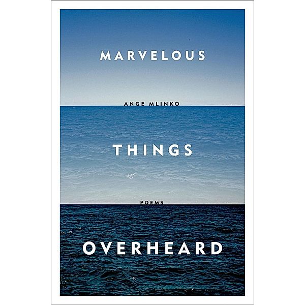 Marvelous Things Overheard, Ange Mlinko