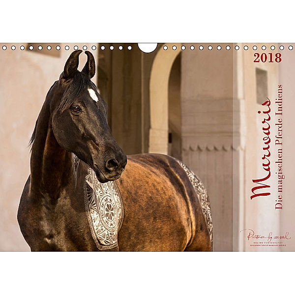 Marwaris - Die magischen Pferde Indiens (Wandkalender 2018 DIN A4 quer), Miriam M. Köhler