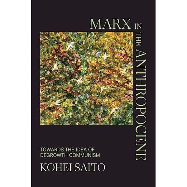 Marx in the Anthropocene, Kohei Saito