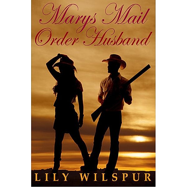 Mary's Mail Order Husband (Montana Mail Order Brides, #4), Lily Wilspur