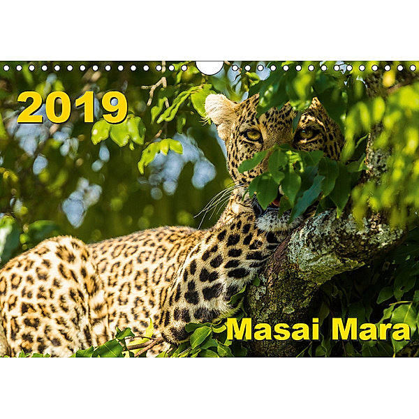 Masai Mara 2019 (Wandkalender 2019 DIN A4 quer), Gerd-Uwe Neukamp