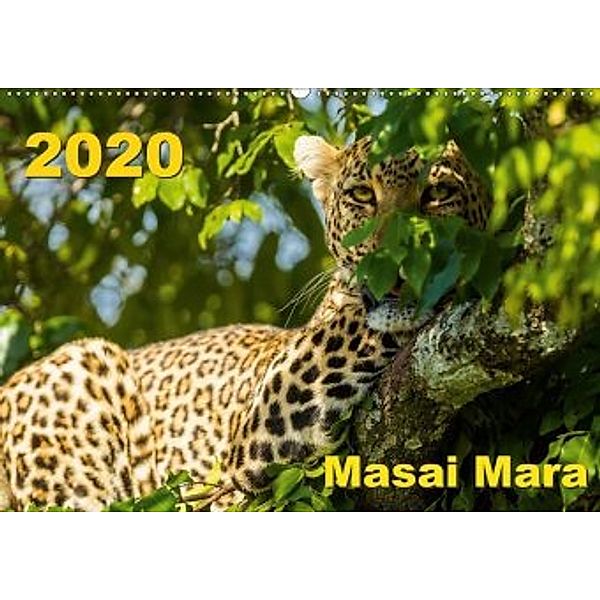 Masai Mara 2020 (Wandkalender 2020 DIN A2 quer), Gerd-Uwe Neukamp