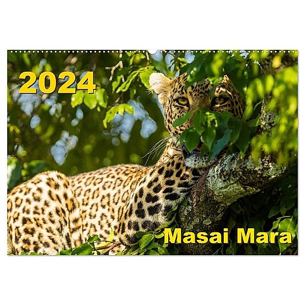 Masai Mara 2024 (Wandkalender 2024 DIN A2 quer), CALVENDO Monatskalender, Dr. Gerd-Uwe Neukamp