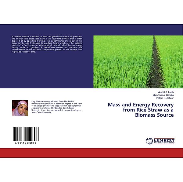 Mass and Energy Recovery from Rice Straw as a Biomass Source, Mennat A. Labib, Mamdouh A. Gadalla, Fatma H. Ashour