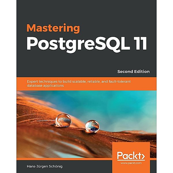 Mastering PostgreSQL 11, Schonig Hans-Jurgen Schonig