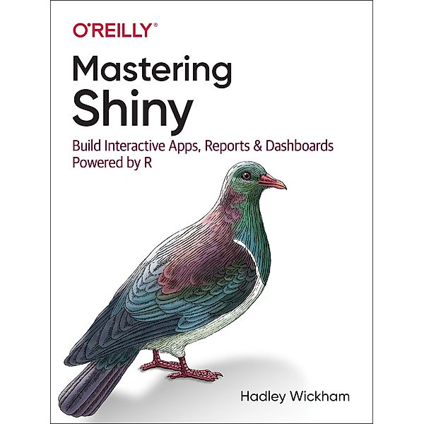 Mastering Shiny, Hadley Wickham