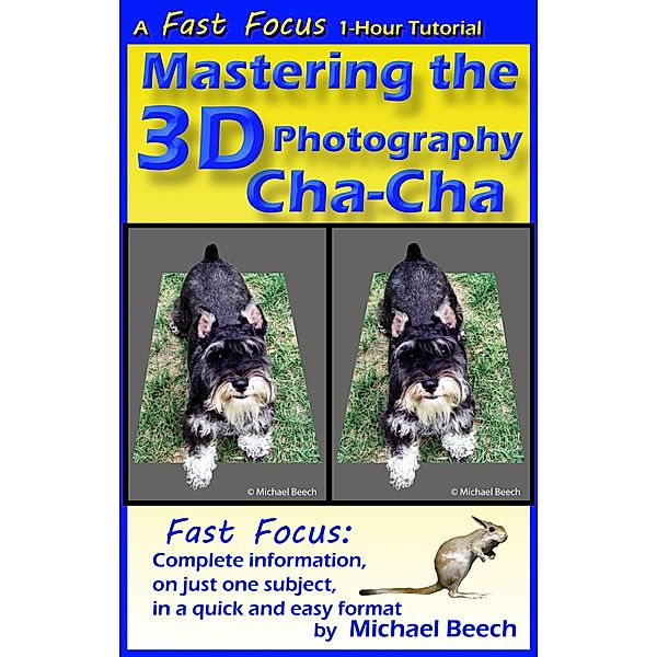 Mastering the 3D Photography Cha-Cha (Fast Focus Tutorials, #3) / Fast Focus Tutorials, Michael Beech