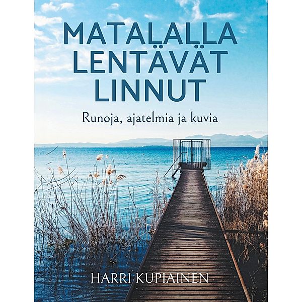 Matalalla lentävät linnut, Harri Kupiainen