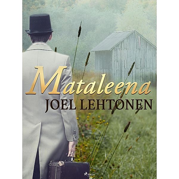 Mataleena, Joel Lehtonen
