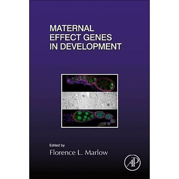Maternal Effect Genes in Development