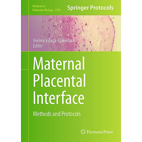 Maternal Placental Interface