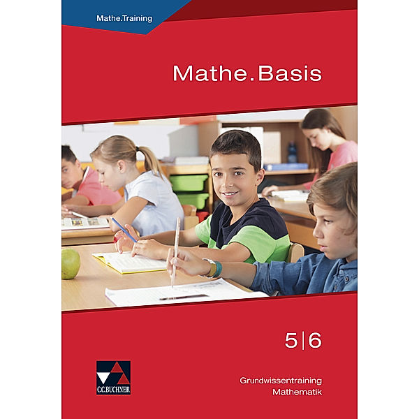Mathe.Basis 5/6, m. 1 Buch, Ulrike Schätz