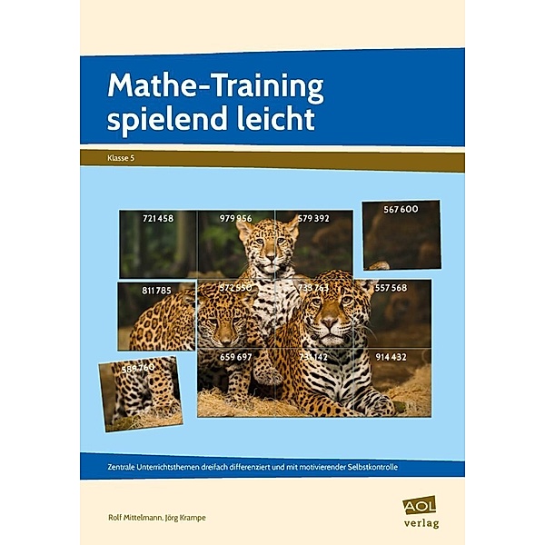 Mathe-Training spielend leicht - 5. Klasse, Rolf Mittelmann, Jörg Krampe