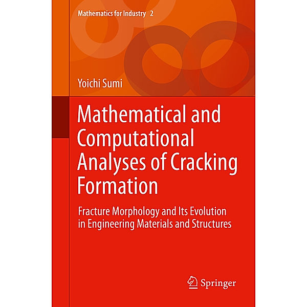 Mathematical and Computational Analyses of Cracking Formation, Yoichi Sumi