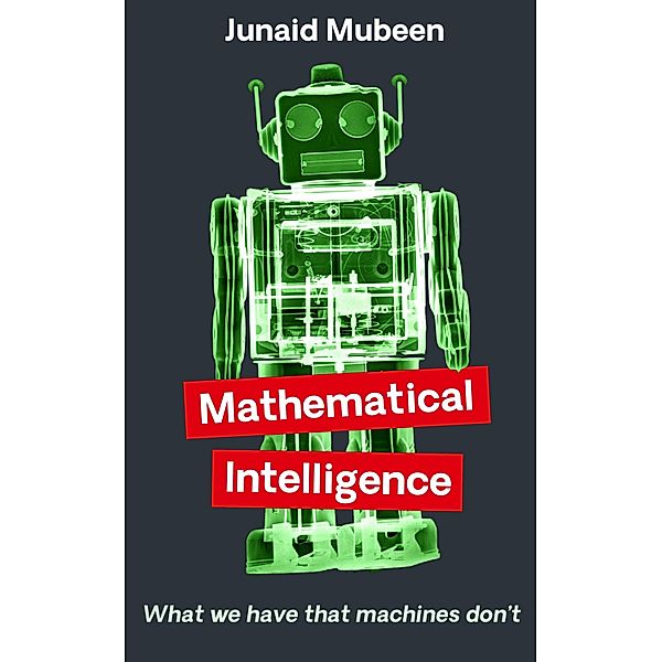 Mathematical Intelligence, Junaid Mubeen