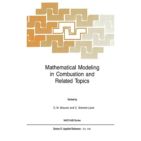 Mathematical Modeling in Combustion and Related Topics / NATO Science Series E: Bd.140