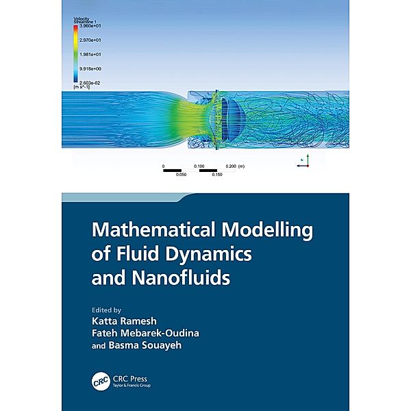 Mathematical Modelling of Fluid Dynamics and Nanofluids