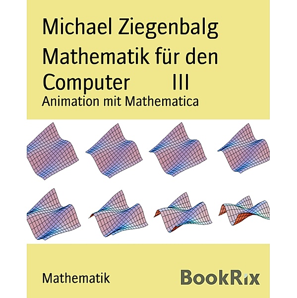 Mathematik für den Computer        III, Michael Ziegenbalg