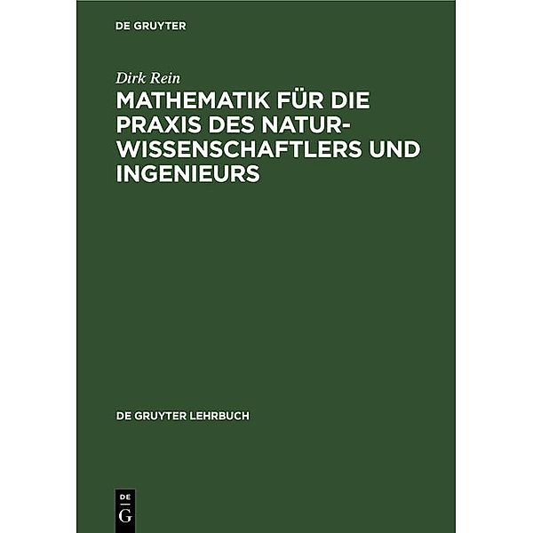 Mathematik für die Praxis des Naturwissenschaftlers und Ingenieurs / De Gruyter Lehrbuch, Dirk Rein