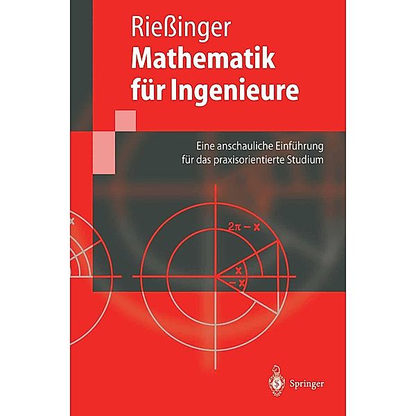 Mathematik für Ingenieure / Springer-Lehrbuch, Thomas Riessinger