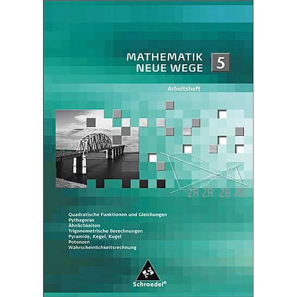 Mathematik Neue Wege SI - Arbeitshefte allgemeine Ausgabe 2008