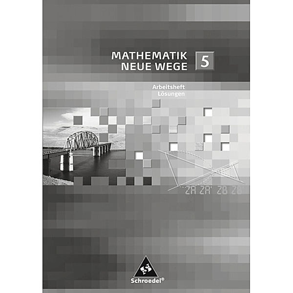 Mathematik Neue Wege SI - Arbeitshefte allgemeine Ausgabe 2008