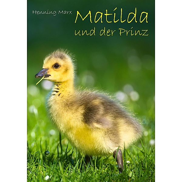 Matilda und der Prinz, Henning Marx