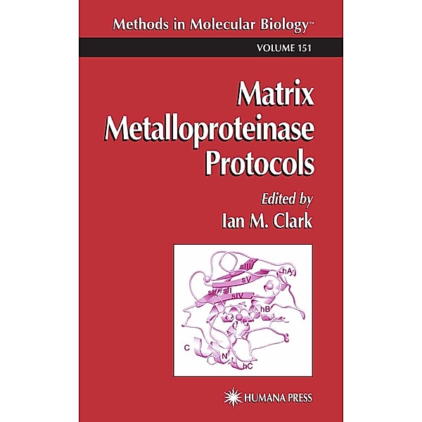 Matrix Metalloproteinase Protocols / Methods in Molecular Biology Bd.151