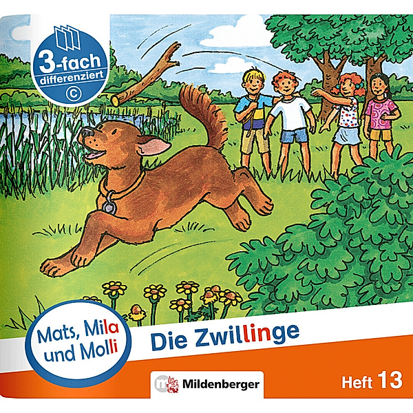 Mats, Mila und Molli - Heft 13: Die Zwillinge - C.H.13, Axel Wolber, Gabriele Heinisch