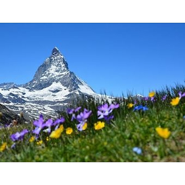 Matterhorn - 1.000 Teile (Puzzle)