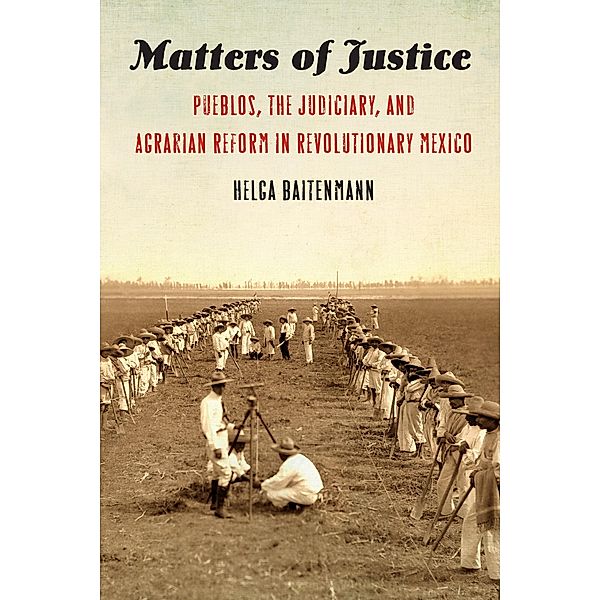 Matters of Justice / The Mexican Experience, Helga Baitenmann