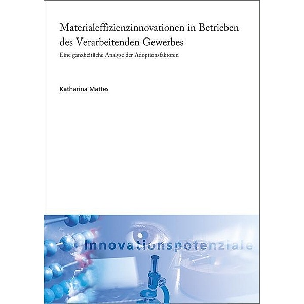 Mattes, K: Materialeffizienzinnovationen in Betrieben, Katharina Mattes