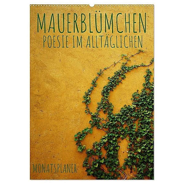 Mauerblümchen - Poesie im Alltäglichen als Monatsplaner (Wandkalender 2024 DIN A2 hoch), CALVENDO Monatskalender, Kirsten d'Angelo - soulimages