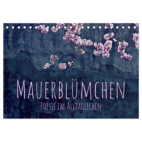 Mauerblümchen - Poesie im Alltäglichen (Tischkalender 2024 DIN A5 quer), CALVENDO Monatskalender, Kirsten d'Angelo - soulimages