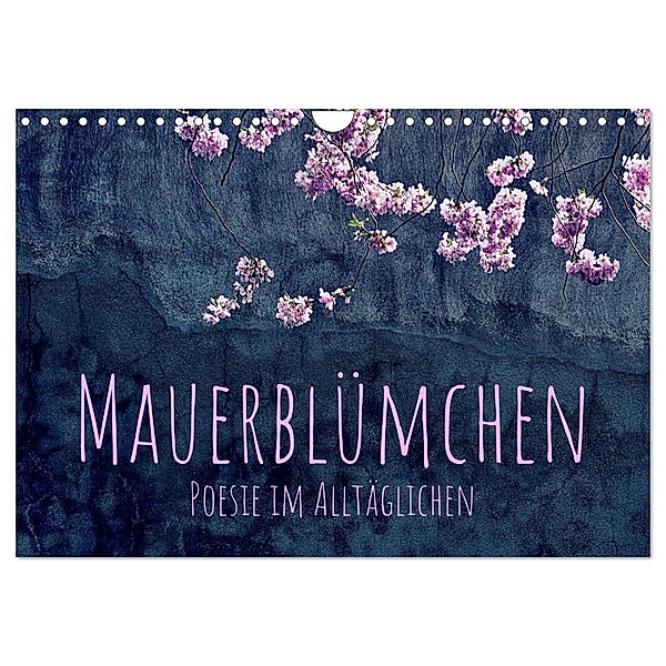 Mauerblümchen - Poesie im Alltäglichen (Wandkalender 2024 DIN A4 quer), CALVENDO Monatskalender, Kirsten d'Angelo - soulimages